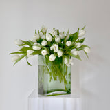 Tulip En Masse - Verte