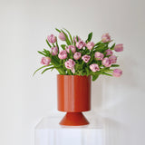 Double Tulip En Masse – Lightly