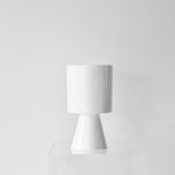 Double Tulip En Masse – Lightly