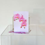 Gift Card Add-On - Orchid with beautiful pink orchids displayed elegantly.