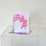 Gift Card Add-On - Orchid with beautiful pink orchids displayed elegantly.