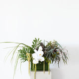 White Orchid Vase Arrangement