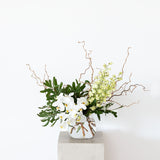 White Orchid Vase Arrangement