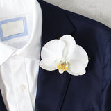 Phalaenopsis Orchid Button